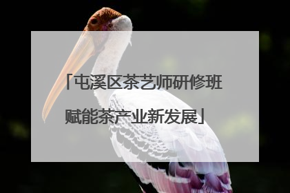 屯溪区茶艺师研修班赋能茶产业新发展